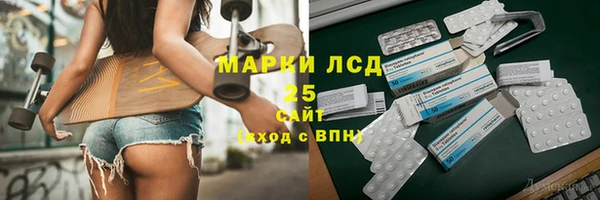 прущие грибы Богданович