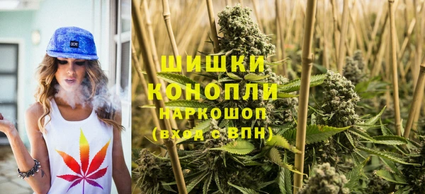 прущие грибы Богданович