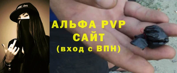 прущие грибы Богданович