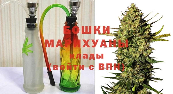 прущие грибы Богданович