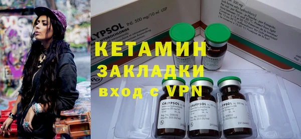 прущие грибы Богданович
