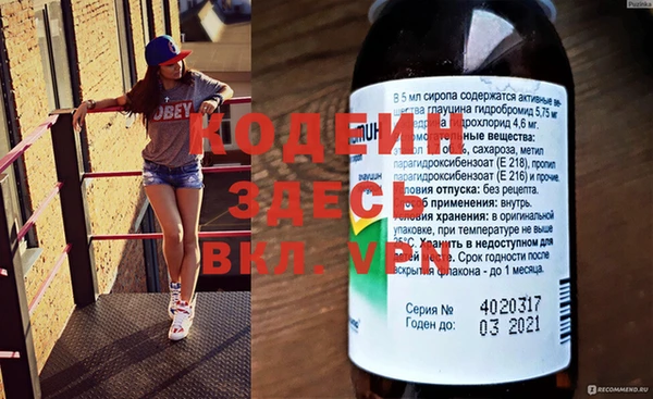 прущие грибы Богданович