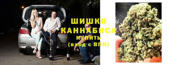 прущие грибы Богданович